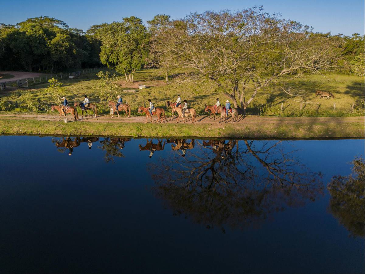 Como que funciona uma Comitiva no Estradão Mato Grosso do Sul Pantanal 